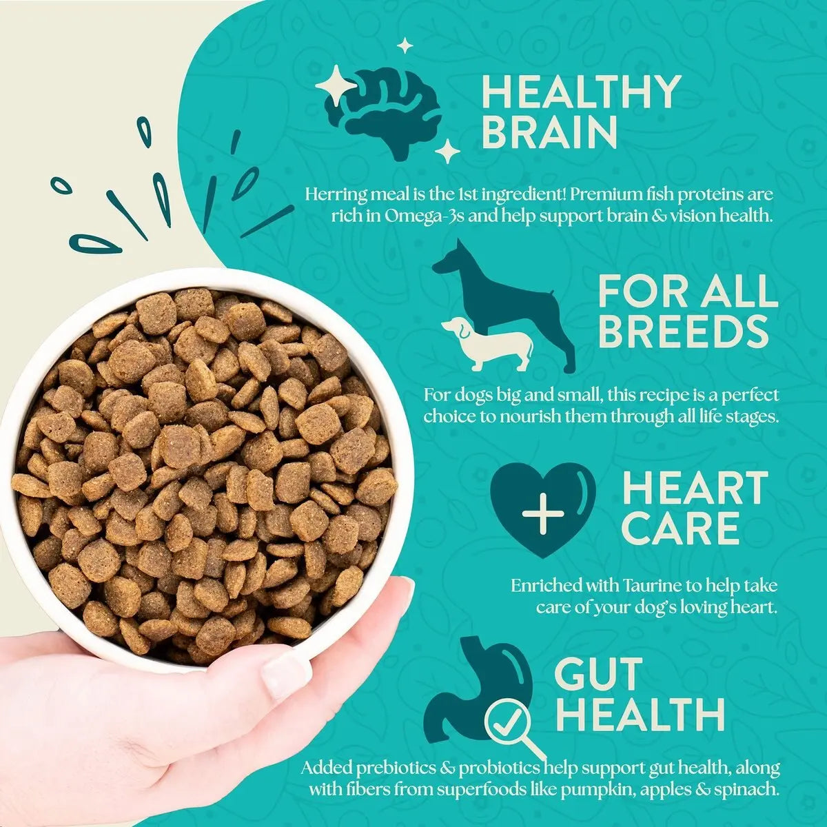 Earthborn Holistic Coastal Catch Premium Grain-Free Dry Dog Food with Herring Meal and Vegetables for Dogs of All Ages