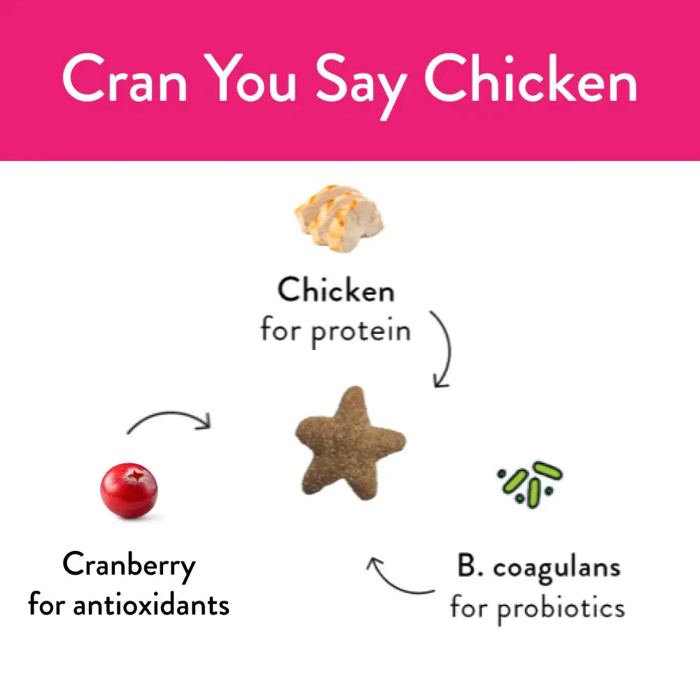 Shameless Pets Delicious Chicken and Cranberry Crunchy Cat Treats for Feline Nutrition