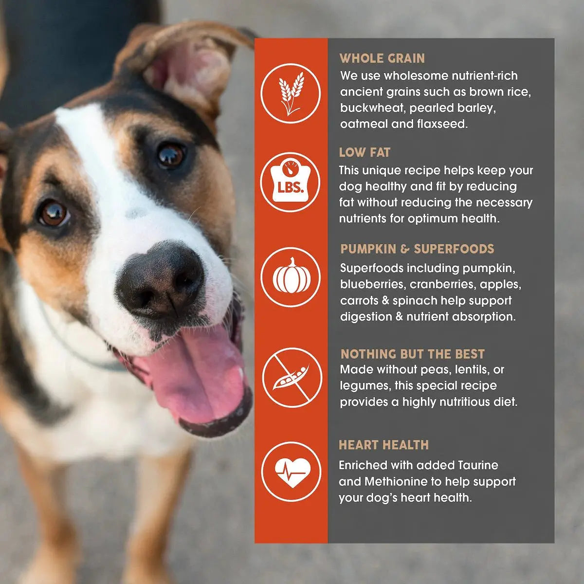 Earthborn Holistic® Adult Dog Food for Weight Control - Premium Canine Diet