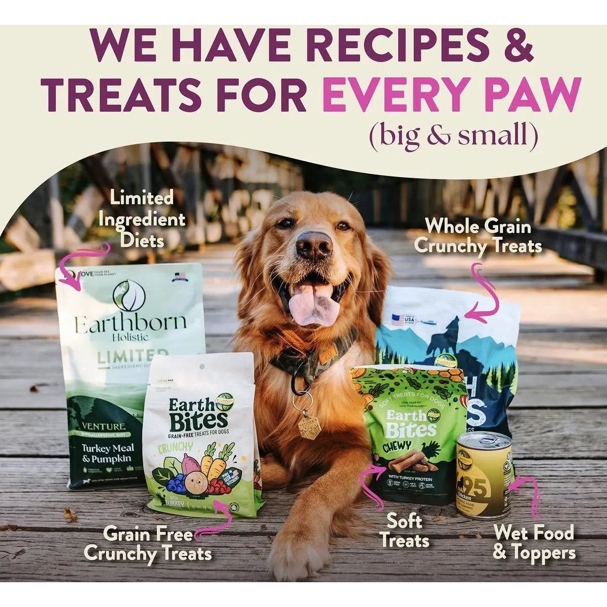 Earthborn Holistic Grain - Free Dry Dog Food: Meadow Feast Lamb Meal & Vegetables Recipe for Dogs