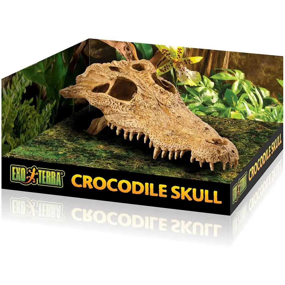 Exo Terra Decorative Crocodile Skull for Terrariums - Realistic Terrarium Ornament