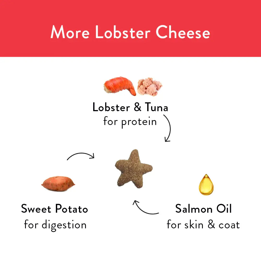 Shameless Pets Premium Lobster & Cheese Crunchy Cat Treats