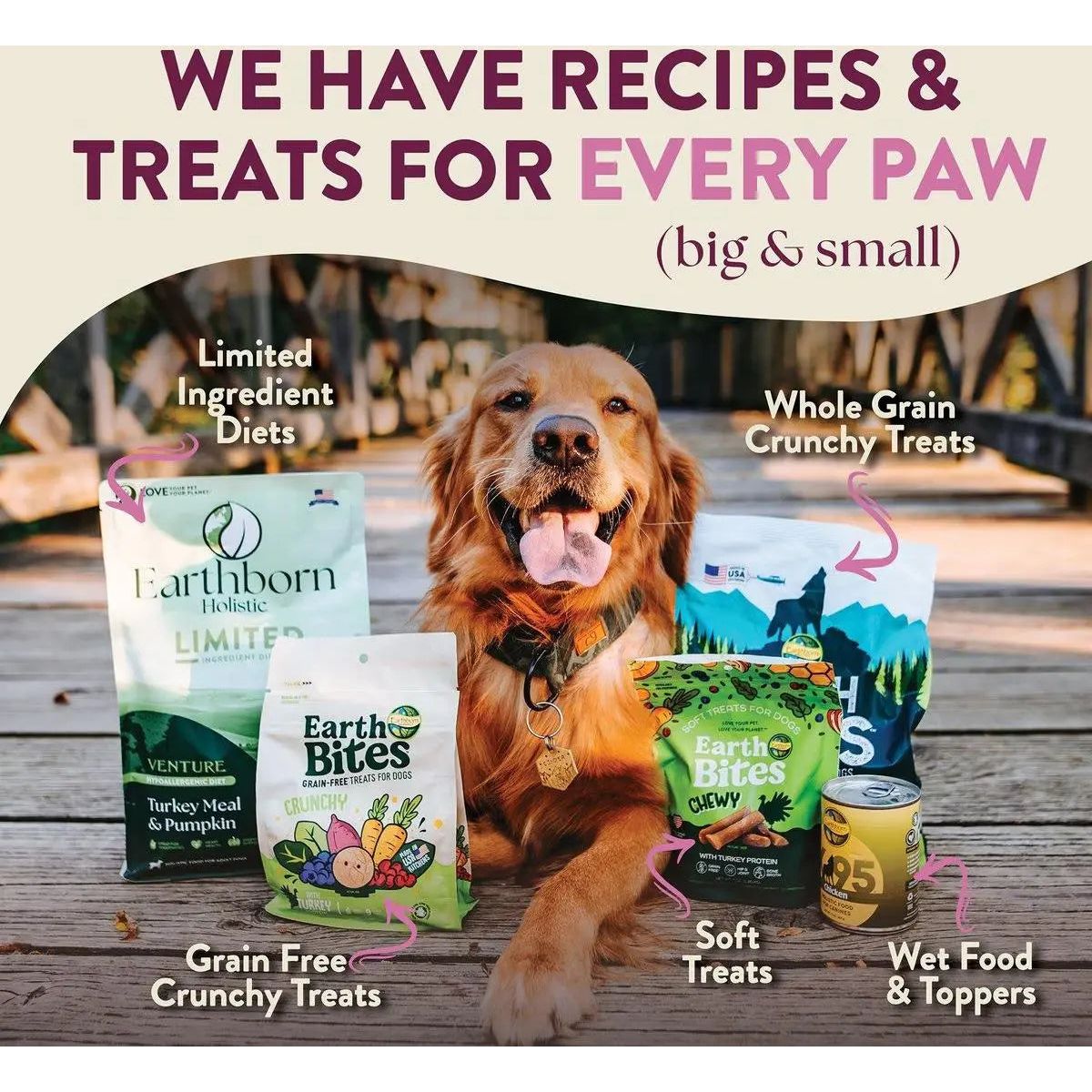 Earthborn Holistic Grain-Free Limited Ingredient Dry Dog Food with Rabbit Meal & Pumpkin