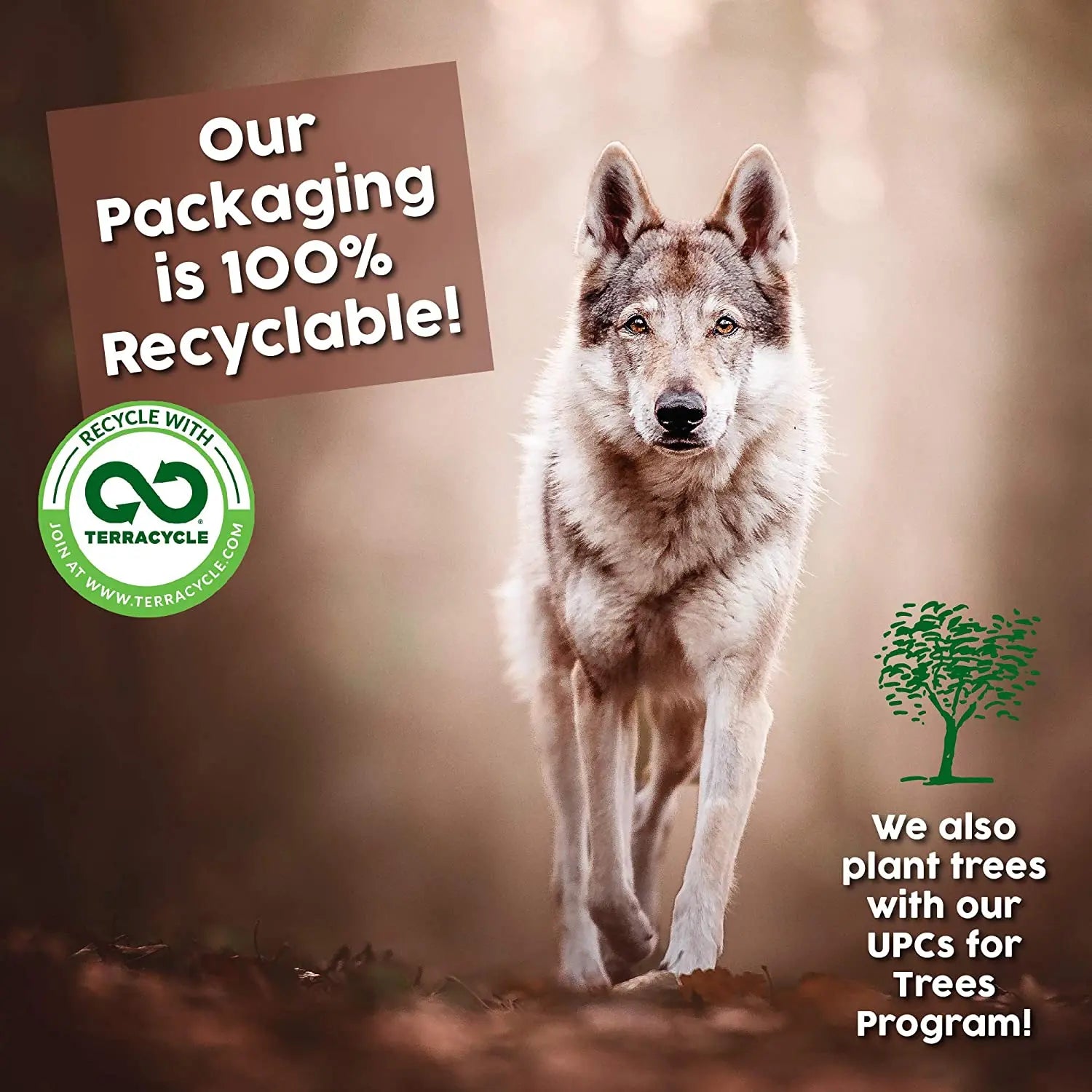 Earthborn Holistic Grain-Free Primitive Natural High-Protein Turkey Dry Dog Food