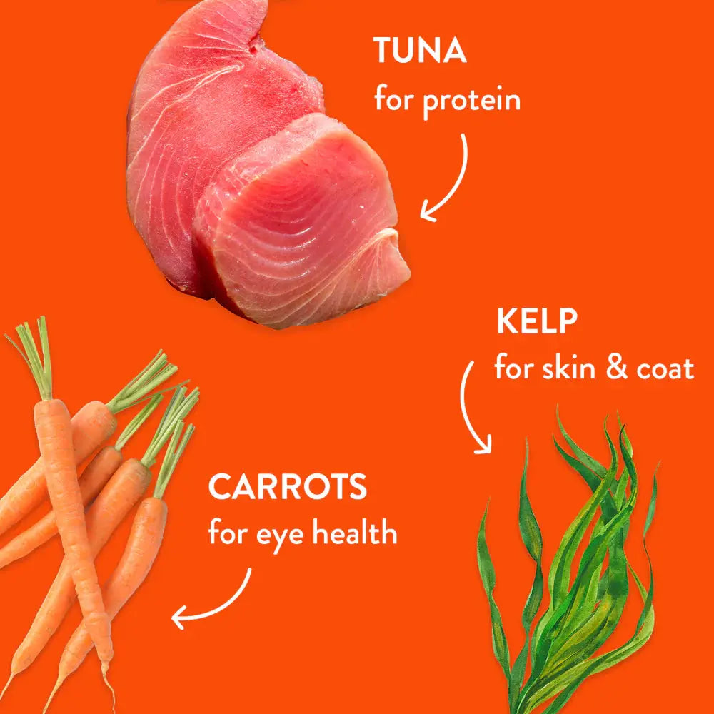 Shameless Pets Air-Dried Cat Treat and Topper - You Tuna Me On