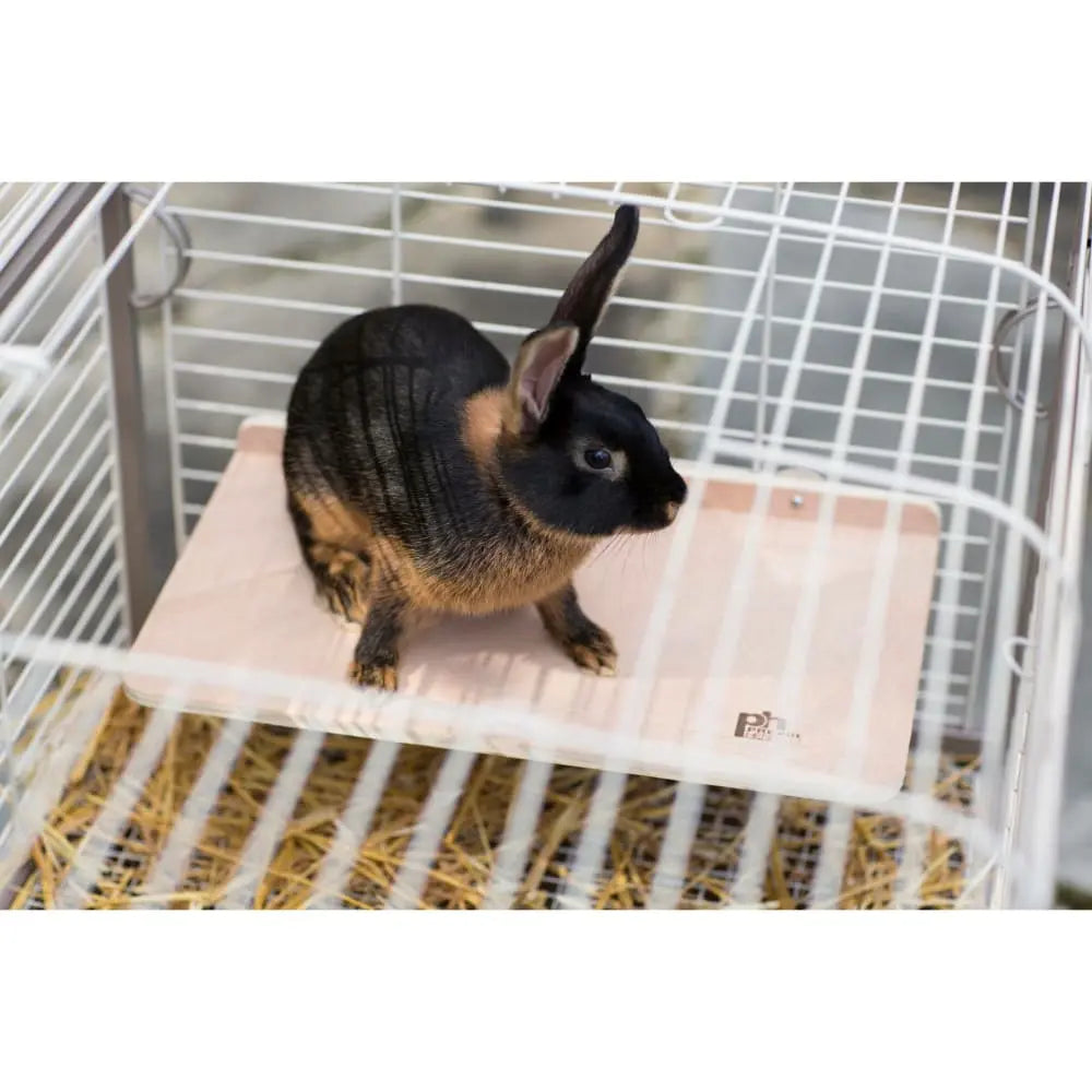 Extra-Large Rectangular Wood Platform for Small Animal Cages by Prevue Pet Products