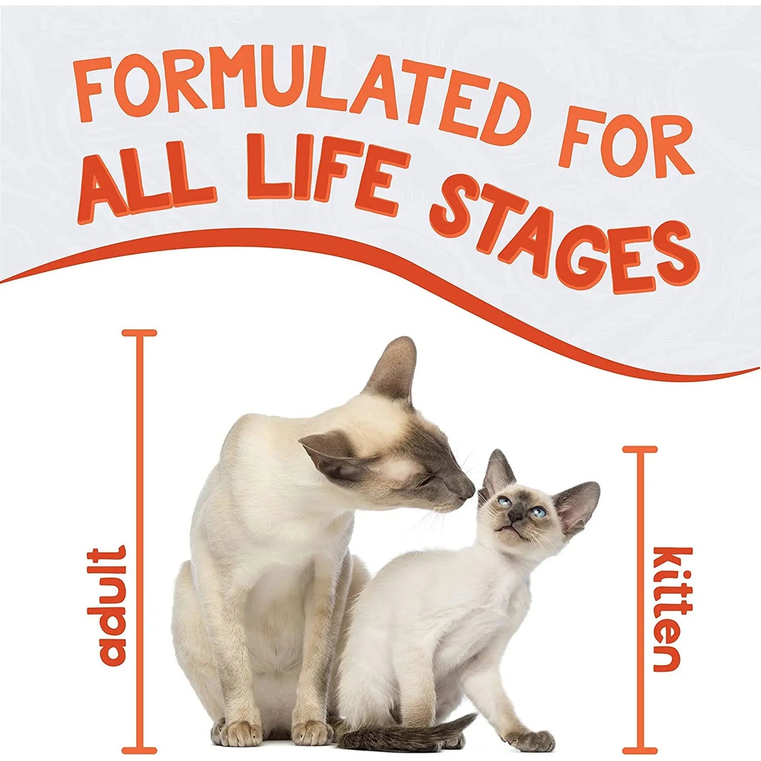 Earthborn Holistic Grain-Free Wet Cat Food - Catalina Catch with Wild-Caught Mackerel and Shrimp