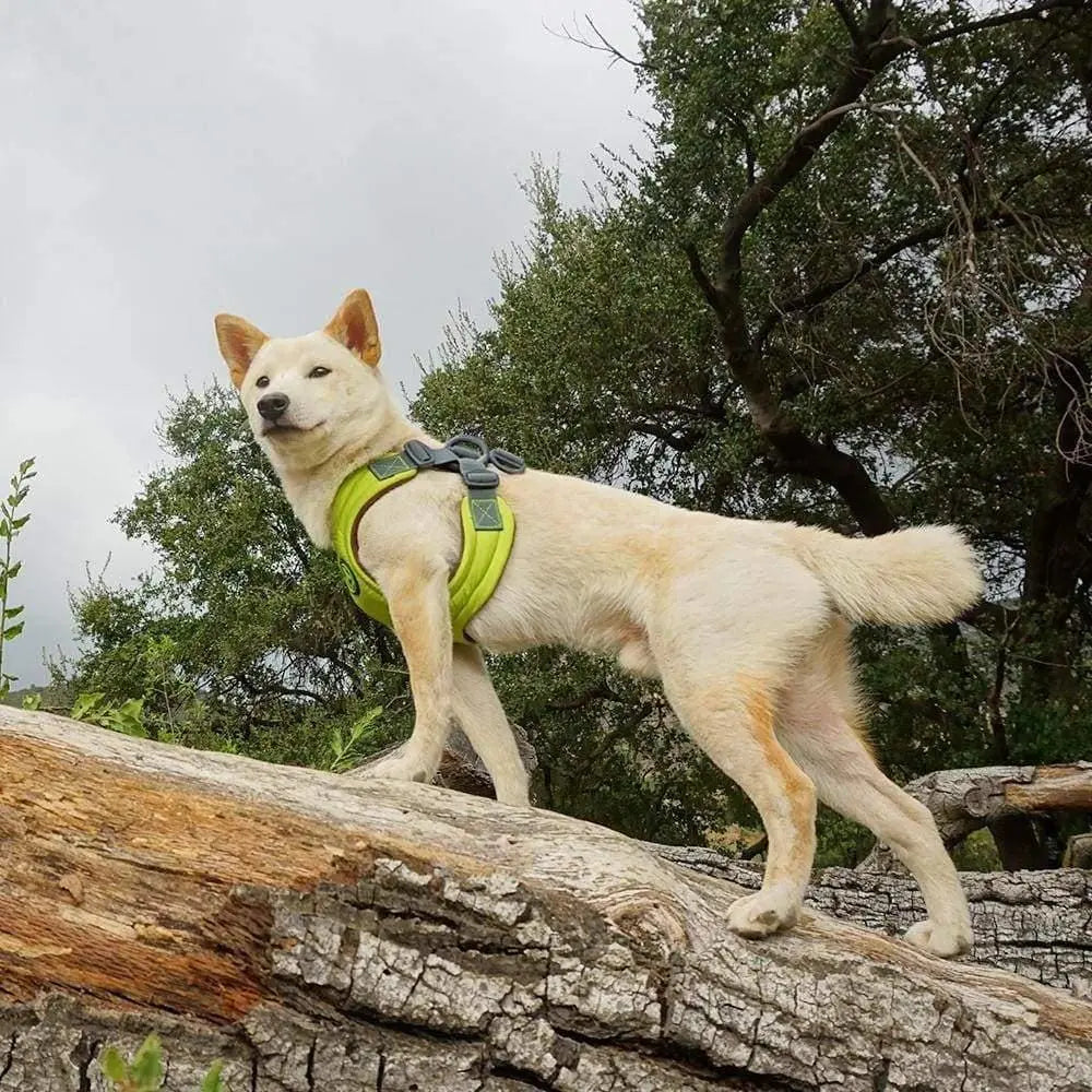 Escape FreeⓇ Memory Foam Dog Harness for Easy and Secure Use