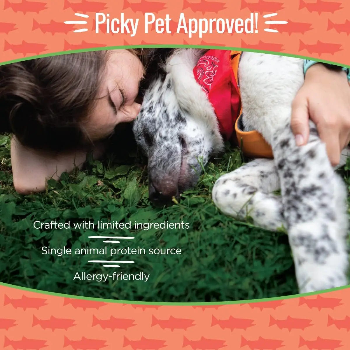 High - Quality Smart Cookie All - Natural Wild - Caught Alaskan Salmon Jerky Treats Specially Designed for Dogs