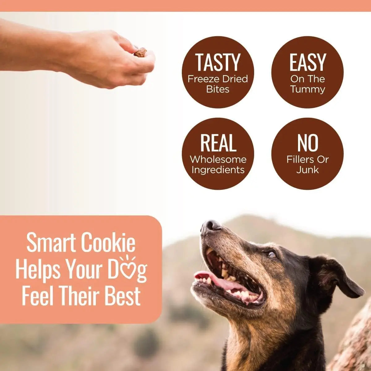 2oz Smart Cookie Premium Freeze - Dried Wild Salmon Treats for Dogs