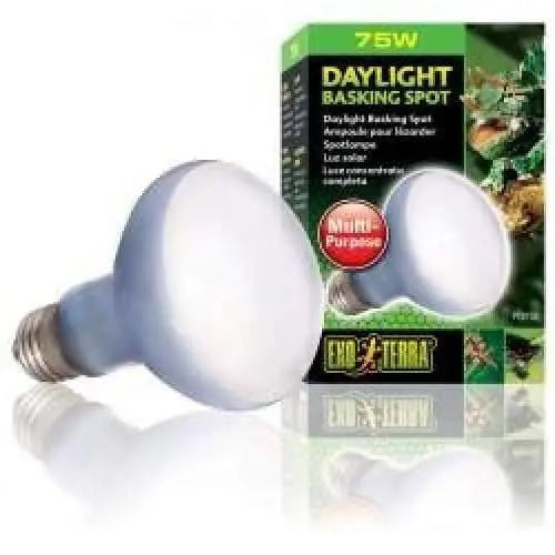 Exo-Terra Neodymium Basking Spot Lamps for Optimal Terrarium Lighting