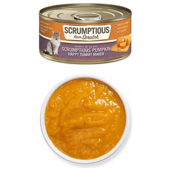 Delectable Homemade Pumpkin Puree Pack Wet Cat Food, 12 Packs of 2.8oz
