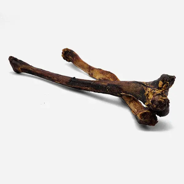 Savannah Long - lasting, Hypoallergenic Ostrich Wing Bone: A Natural Dog Gnaw Treat