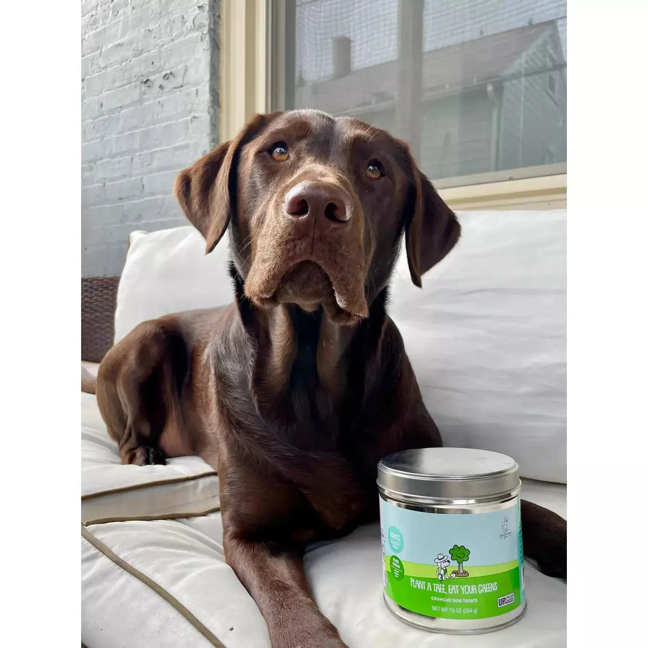 Shameless Pets Eco - Friendly Crunchy Dog Treats: Plant a Tree & Eat Greens