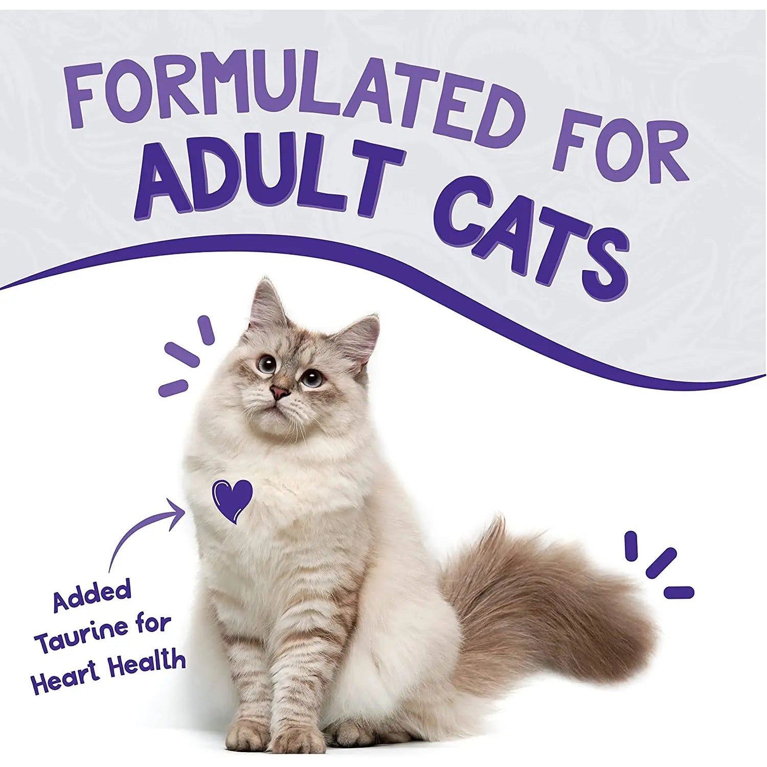 Earthborn Holistic Grain-Free 5.5 oz Chicken Fricatssee Wet Cat Food, 24 Packs