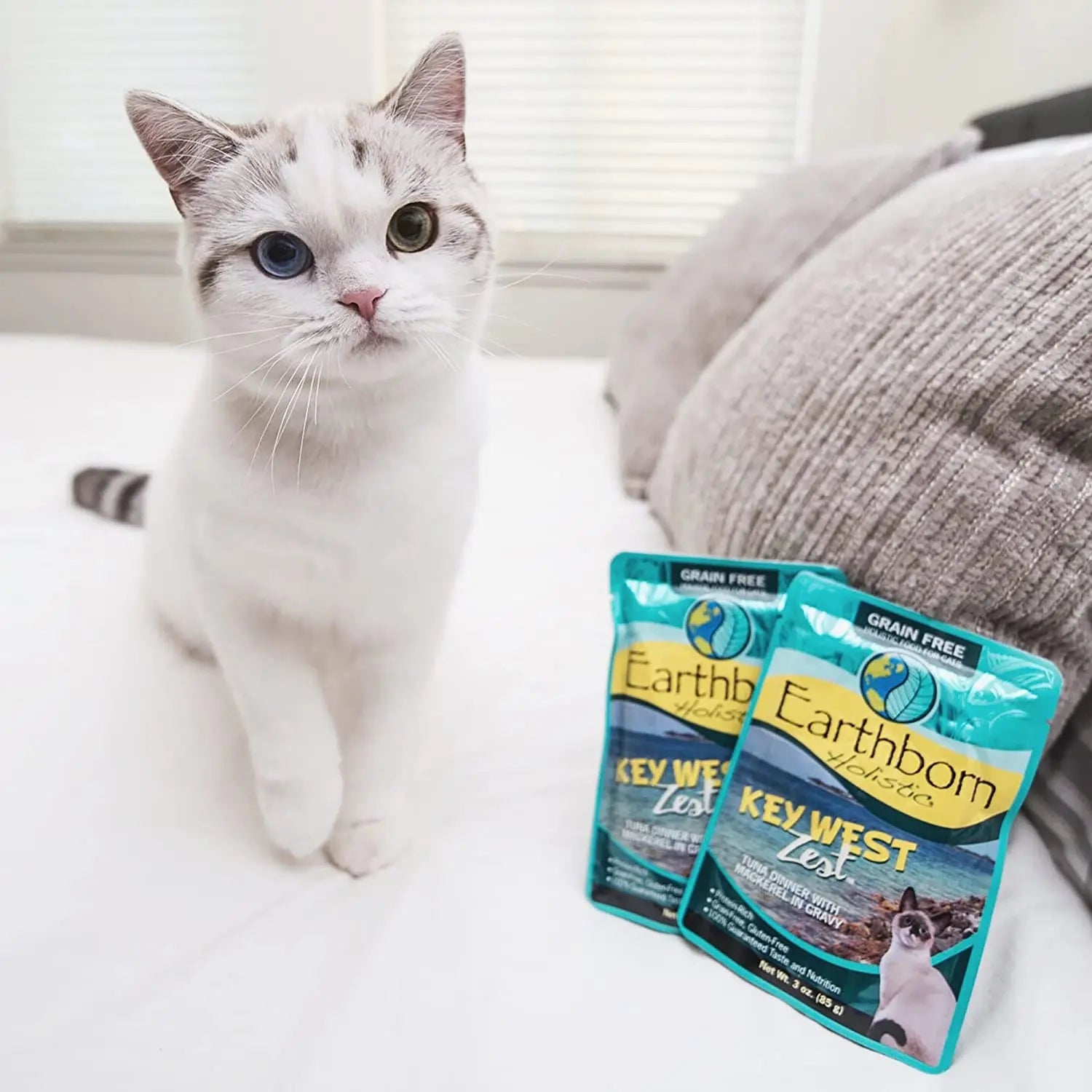 Earthborn Holistic Grain-Free 24-Pack 3 oz Wet Cat Food with Key West Zest