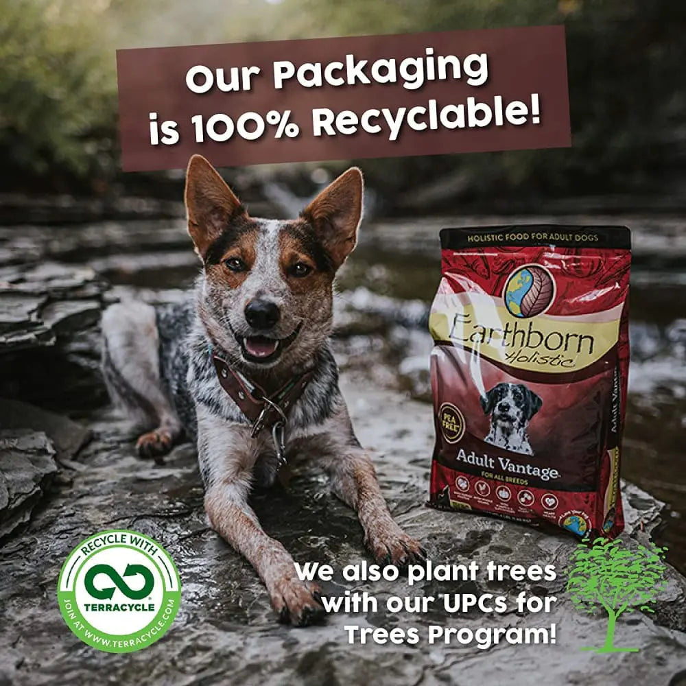 Earthborn Holistic Adult Vantage Premium Dry Dog Food with Turkey for Canine Well - being