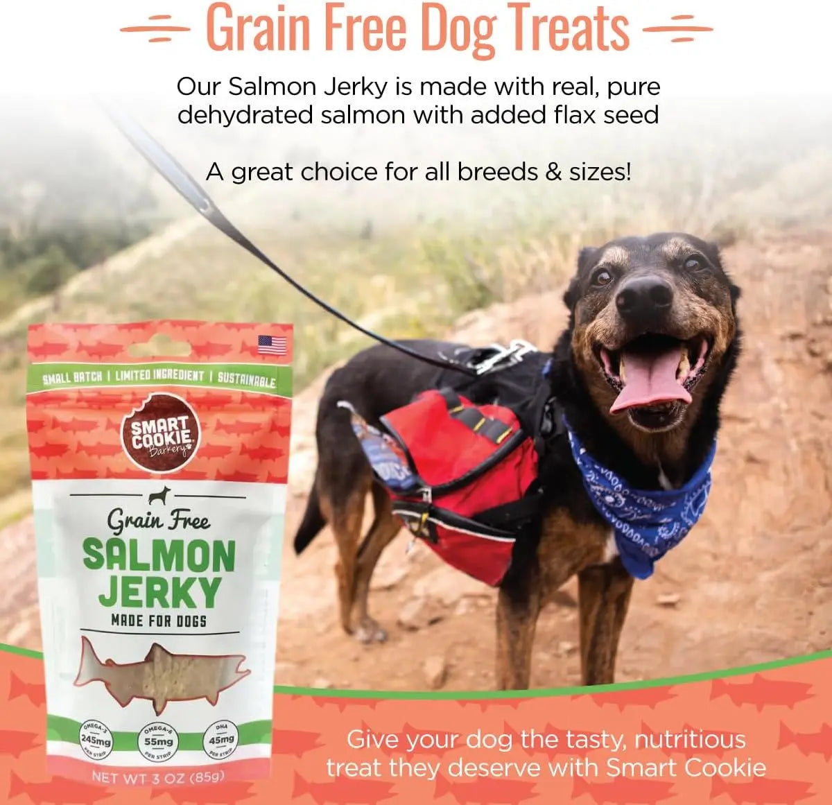 High - Quality Smart Cookie All - Natural Wild - Caught Alaskan Salmon Jerky Treats Specially Designed for Dogs