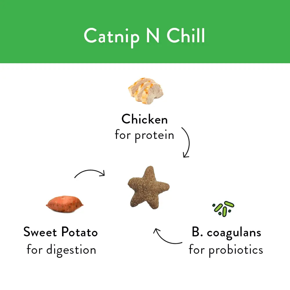 Shameless Pets Crunchy Cat Treats with Catnip for a Relaxed Feline