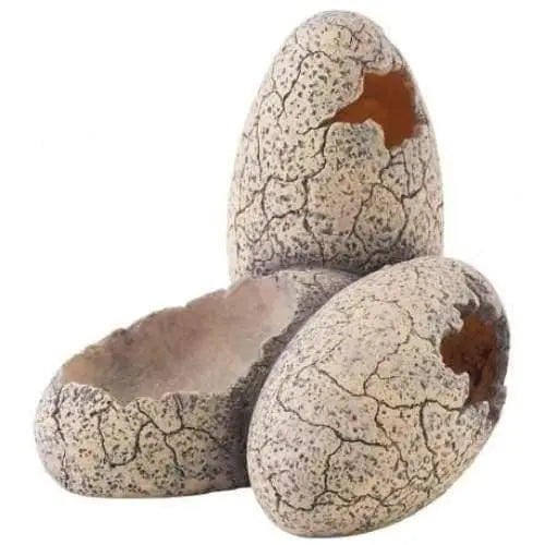 Exo Terra Fossil - Look Dinosaur Egg with Dish for Reptile Terrarium Decor