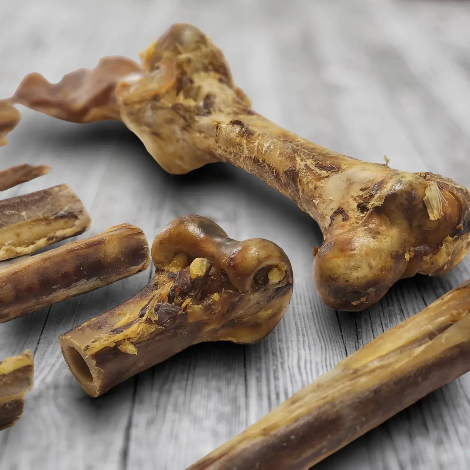 Savannah Long - lasting, Hypoallergenic Ostrich Wing Bone: A Natural Dog Gnaw Treat