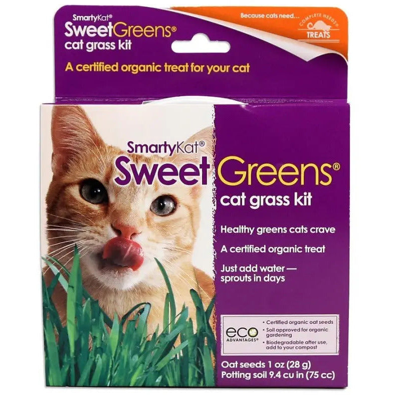 SmartyKat Certified Organic Sweet Greens Cat Grass Growing Kit for Healthy Cat Treats
