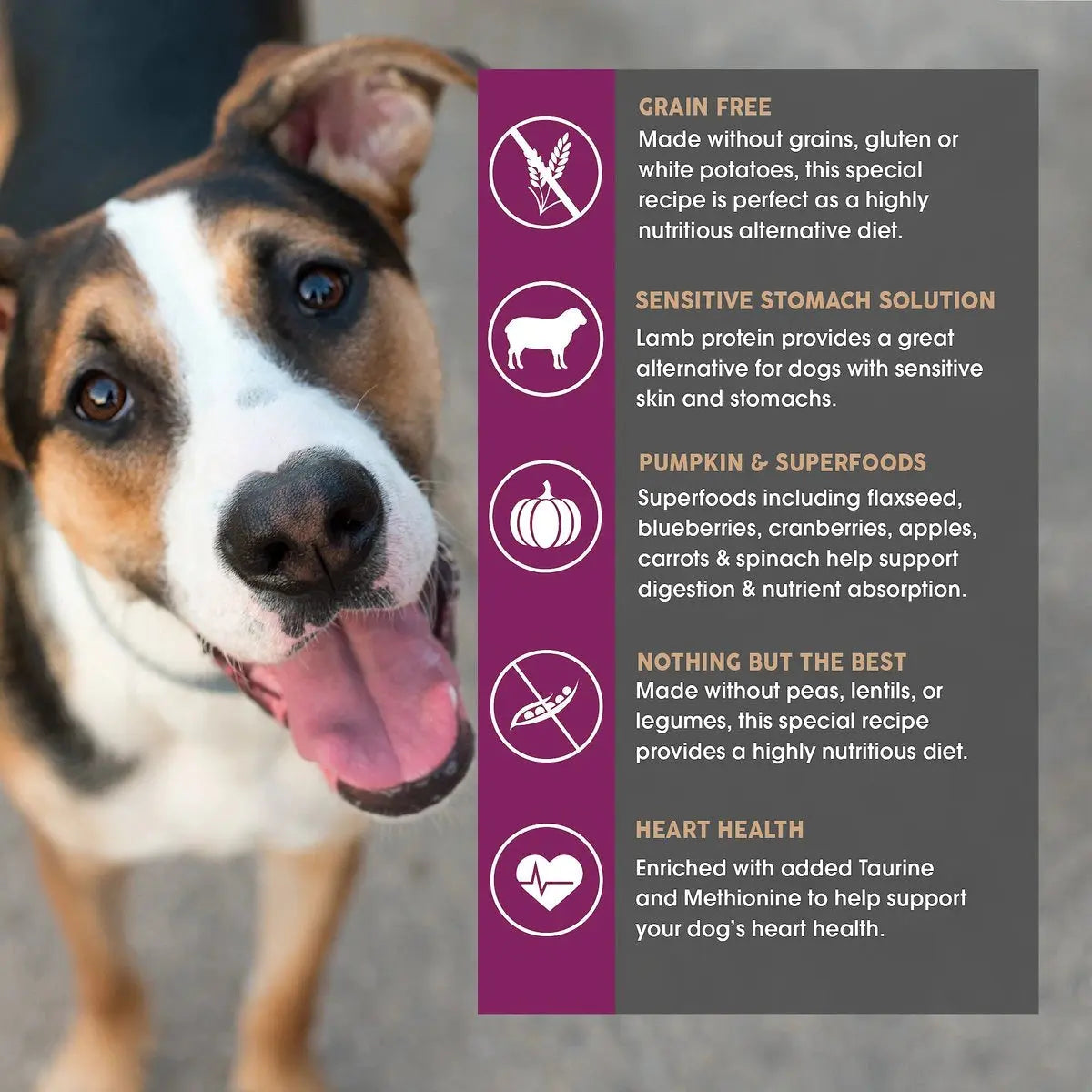 Earthborn Holistic Grain-Free Lamb Meal Dog Food - Meadow Feast for Sensitive Stomachs