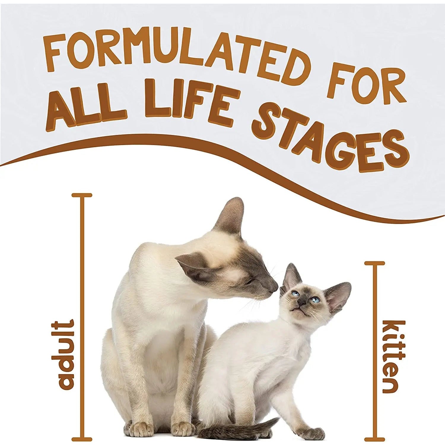 Earthborn Holistic Grain-Free Wet Cat Food: Chicken & Liver Jumble, 24x5.5 oz