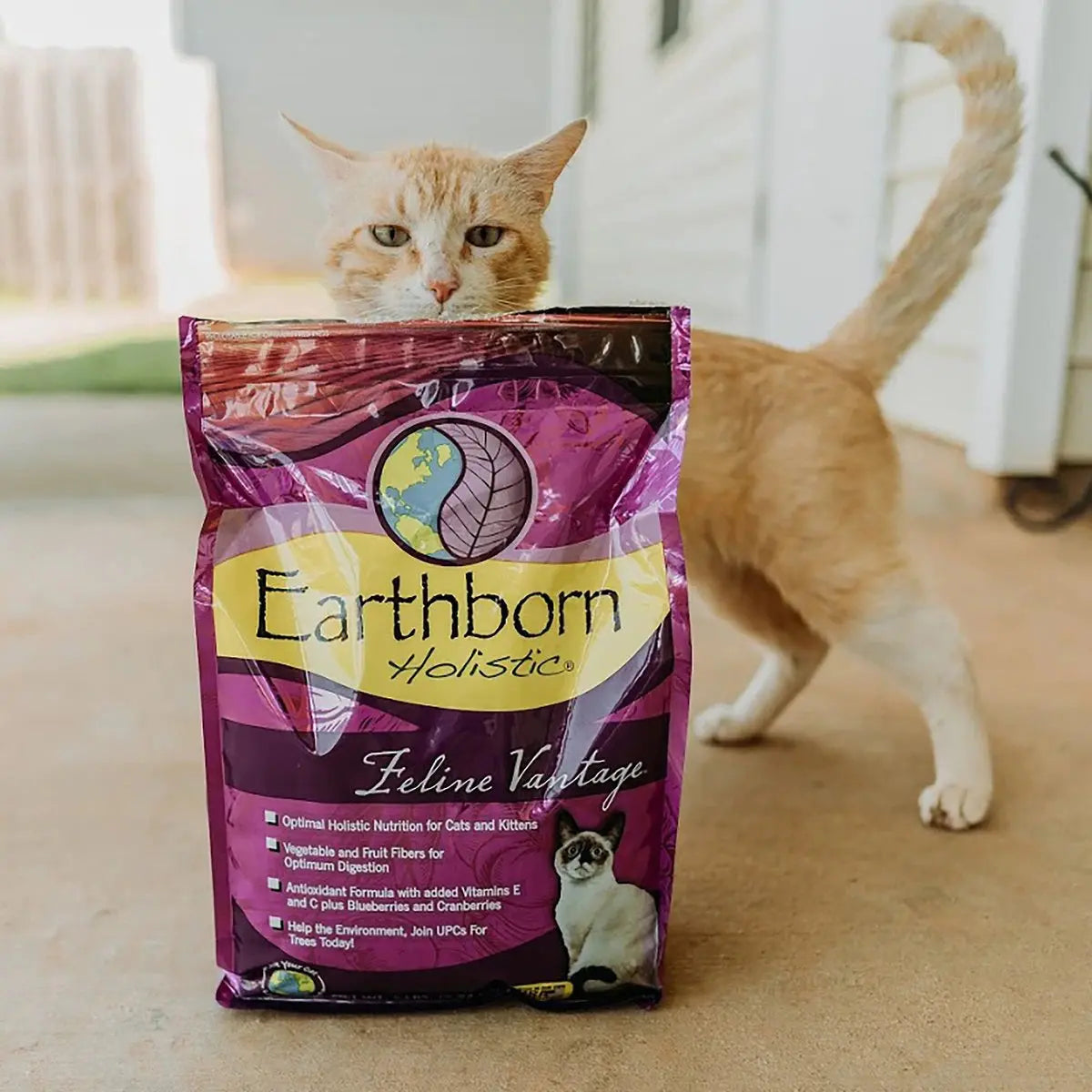 Earthborn Holistic® Feline Vantage™ High - Quality Holistic Cat and Kitten Food