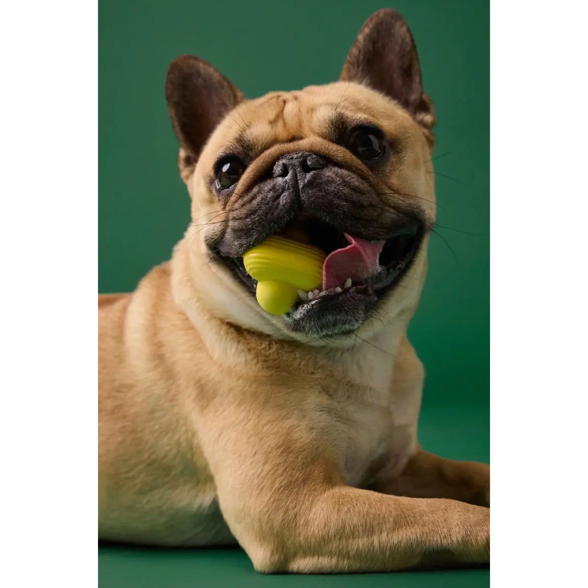 Earth Rated Yellow Rubber Dog Fetch Toy with Unique Bubble Knot Design