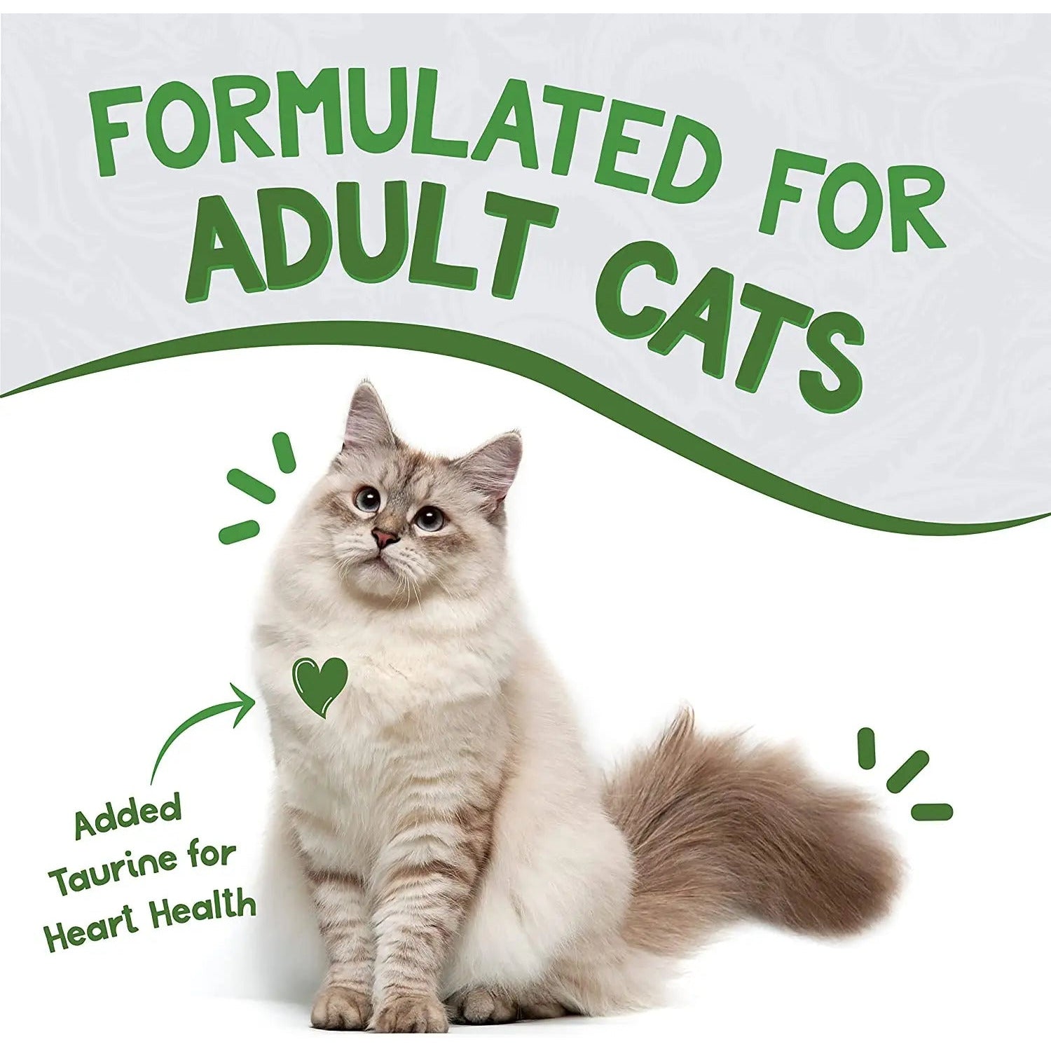Earthborn Holistic Grain-Free Wet Cat Food with Savory Chicken Catcciatori