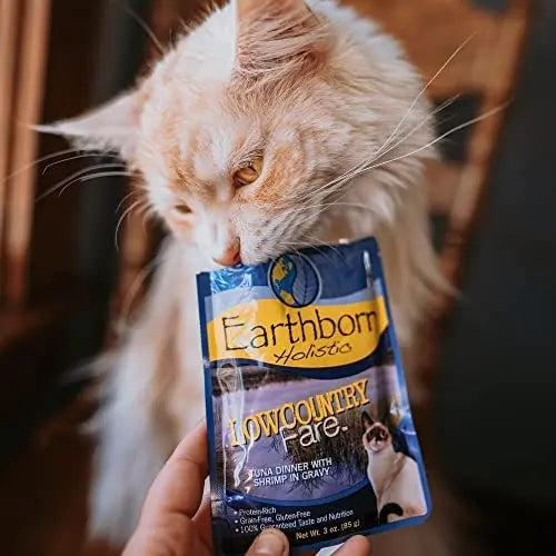 Earthborn Holistic 3 oz Grain - Free Wet Cat Food, 24 Packs of Lowcountry Fare