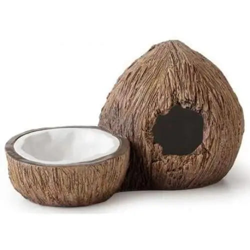 Exo Terra Tropical Coconut-Style Hideout and Water Dish
